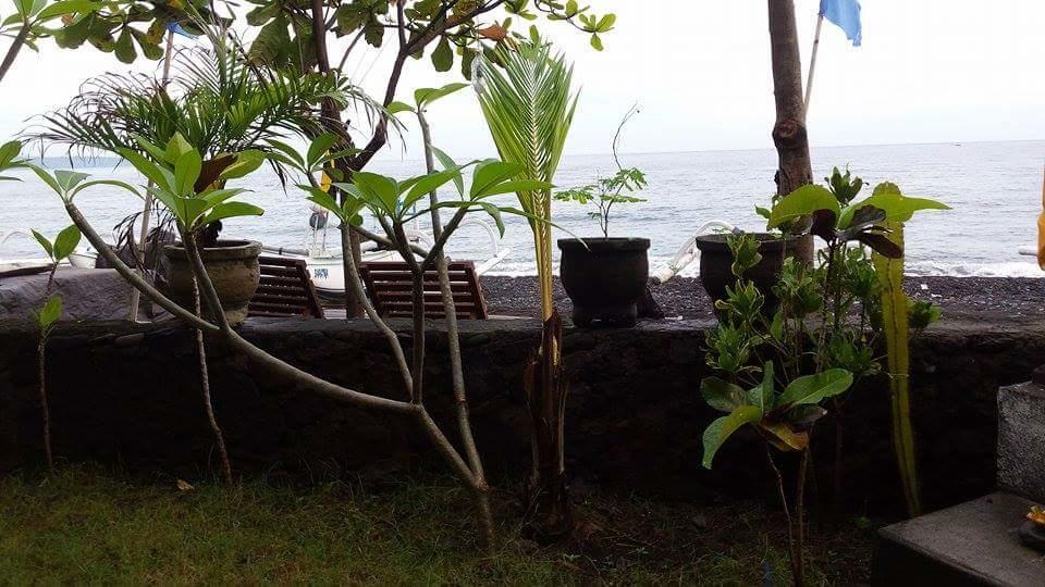 Alur Beach Homestay Амед Екстер'єр фото